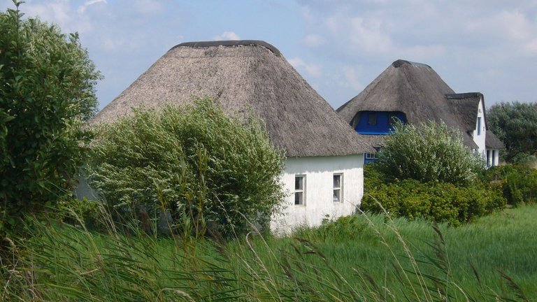 Reetgedeckte Häuser an der Ostsee auf der Halbinsel Eiderstedt