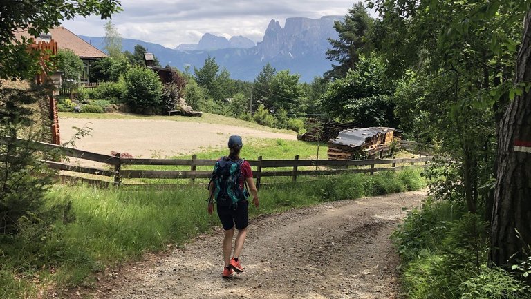 Eine Wanderin läuft auf dem Ritten mit Blick zu den Dolomiten