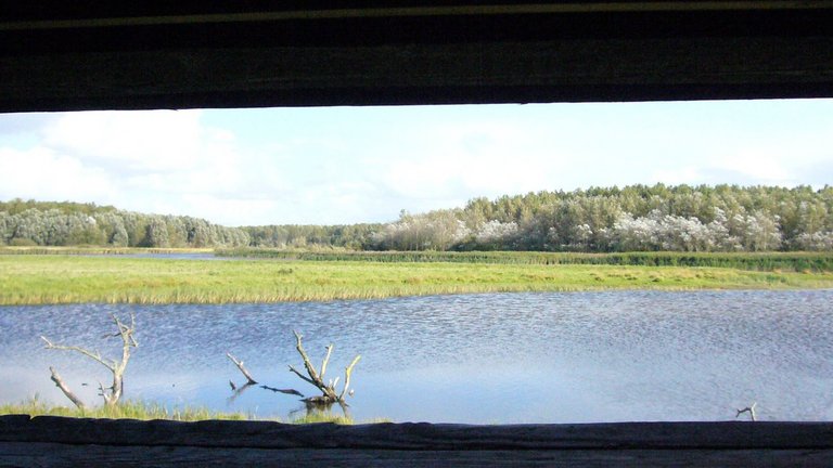 Brutgebiete von Vögeln bei St. Peter Ording