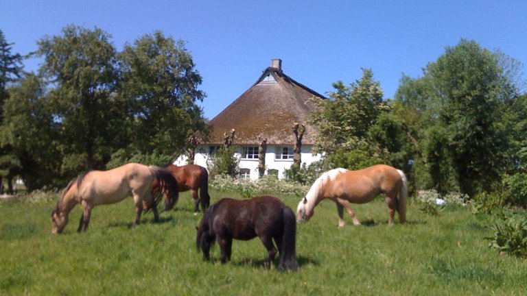 Nordsee: Malen, Yoga, Nordic Walking, Ayurveda, Ausflüge im Bio-Hotel