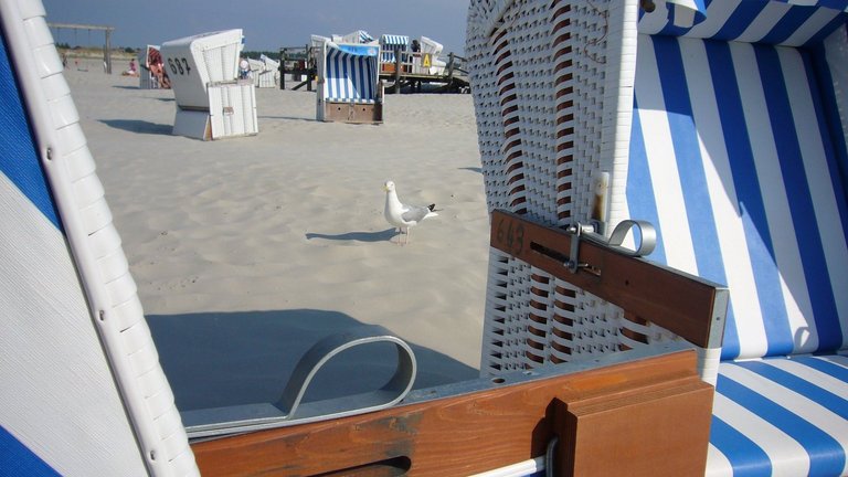 Möwe zwischen Strandkoerben bei St. Peter-Ording