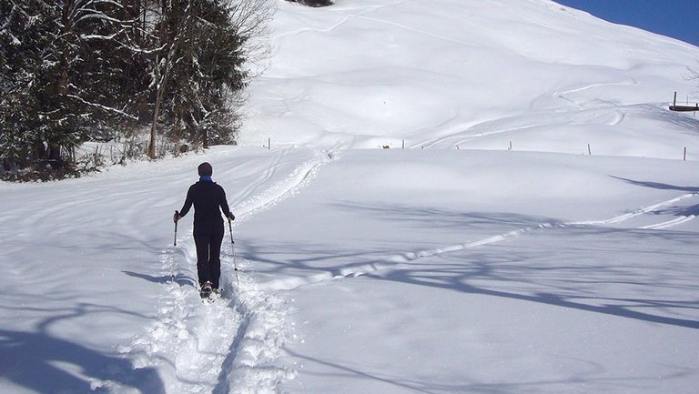 Osttirol: Schneeschuh-Wanderreise im Hochpustertal