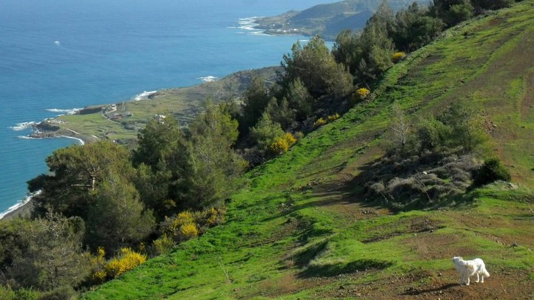 Wanderwege entlang der Küste auf der Akamas Halbinsel von Zypern 