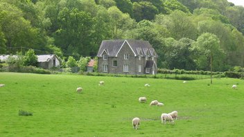 Schafe mit historischem Steinhaus auf dem Land in Wales