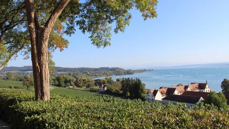 Bodensee: Meditativ-Angebot mit Yoga und Qigong