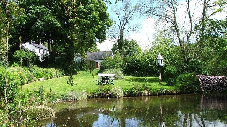 Blick auf einen kleinen Teich bei den Cottages in Wales