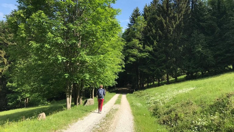 Wandern durch wunderschöne Landschaft im Blauen Land