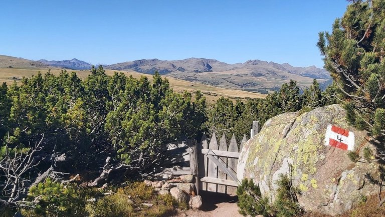 Wanderweg mit Markierung von Platzeralm zum Rittner Horn