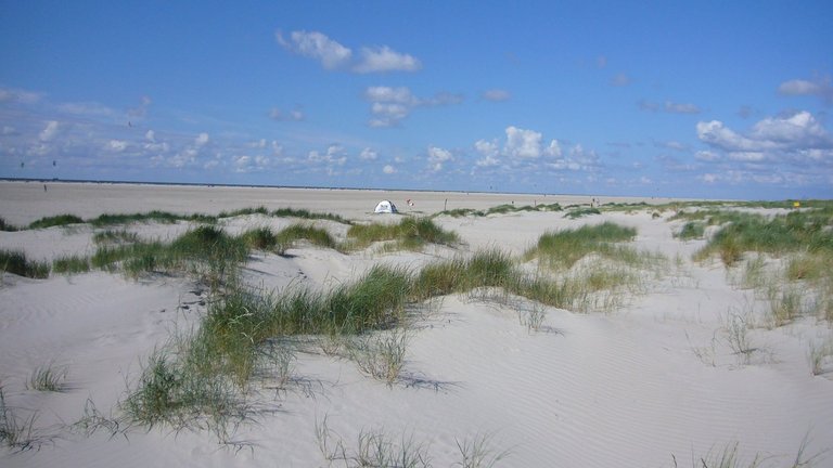 Dünen bei Sankt-Peter-Ording an der Nordsee