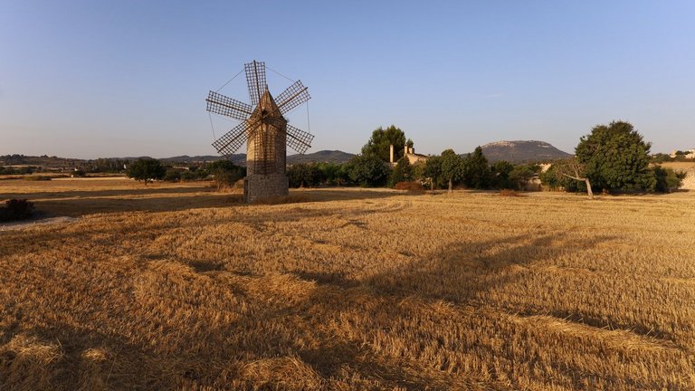 Landschaft mit Mühle bei der Seminarfinca auf Mallorca