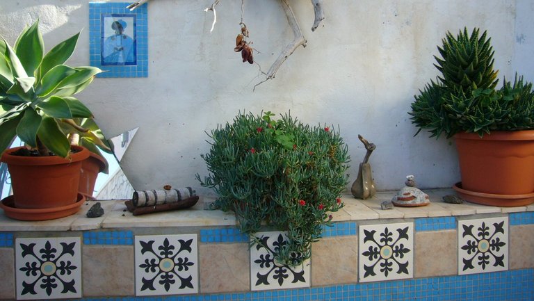 Gartenkunst in unserem Gästehaus Borbalan auf Gomera