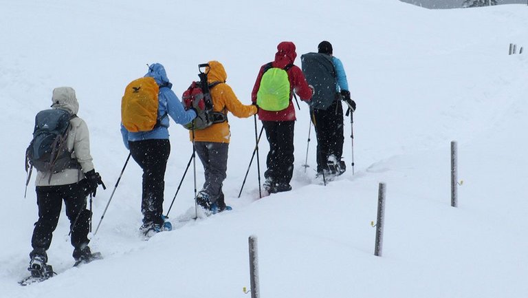 Frauengruppe mit Schneeschuhen in Osttirol