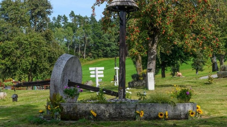 Eingangsbereich des Seminarhauses mit vielen grünen Pflanzen im oberösterreichischen Mühlviertel