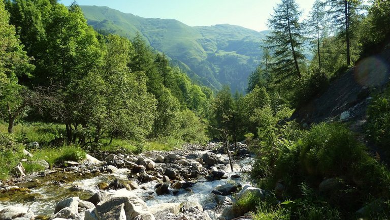 Gebirgsbach im Valle Maira, Piemont.
