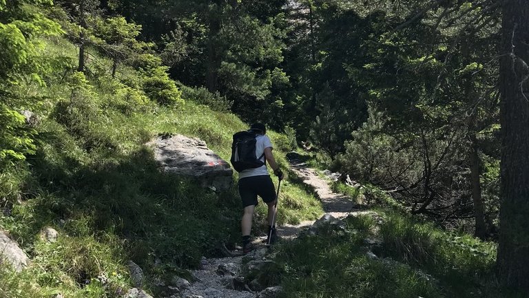 Wanderin auf Wanderweg durch den Wald im Villnöss-Tal