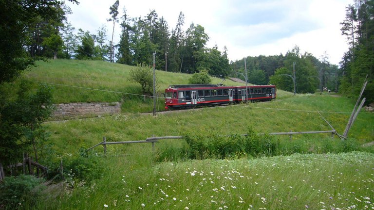 Die Rittenbahn fährt durch blühende Wiesen in Südtirol