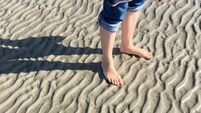 Barfuss Wattwandern an der Nordsee